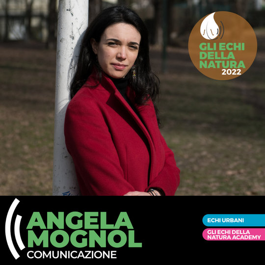 Angela Mognol || Gli Echi della Natura - Echi Urbani