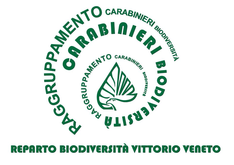 Raggruppamento Carabinieri Biodiversità